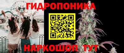 дмт Заволжье