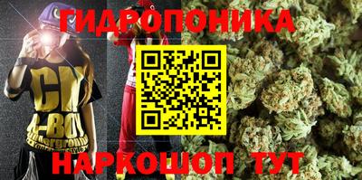 гидропоника Заводоуковск