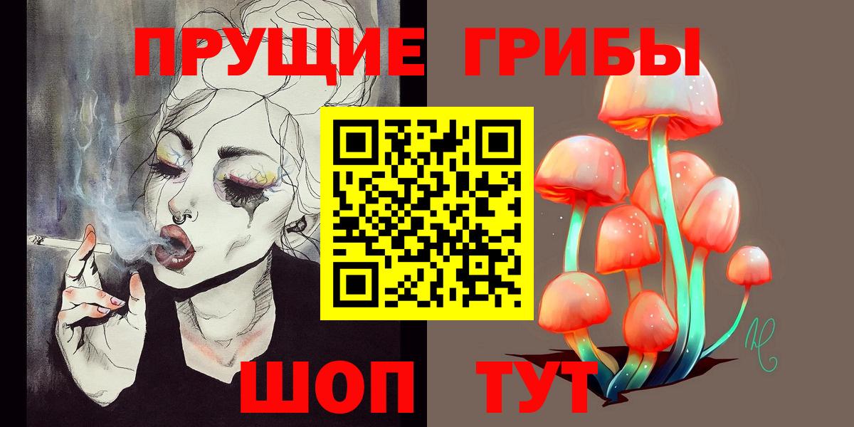 Псилоцибиновые грибы Psilocybe Мурманск