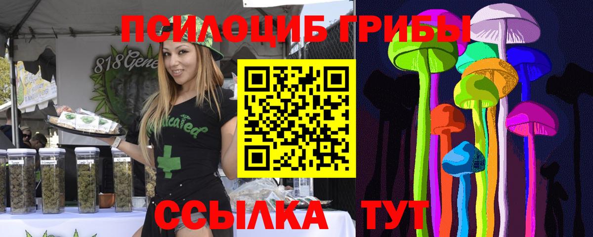 Псилоцибиновые грибы Cubensis  Вход с VPN  Мурманск 